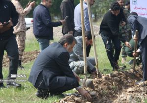 افزون بر ۱۵۰ هزار نهال در شهرستان دزفول کاشته شد